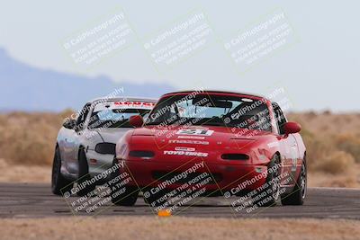 media/Feb-17-2024-Nasa AZ (Sat) [[ca3372609e]]/4-Race Group A/Session 2 Qualify (Turn 16)/